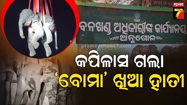 reason-why-shah-rukh-khan-has-female-bodyguards