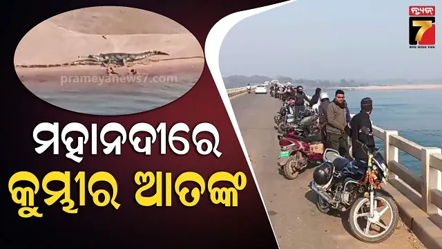 ganjai-seized-in-koraput-2