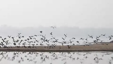 dengue-spread-in-odisha-specially-khandagiri-situation-critical