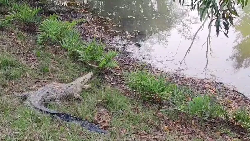 violent-clashes-break-out-at-assam-mizoram-border