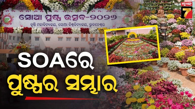 bjp-accuses-rahul-gandhi-of-politics-on-delhi-rape-incident-says-rajasthan-on-top-in-rape-case