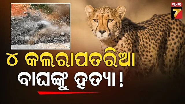 କୋଭିଡ-ଭ୍ୟାକସିନର-ପ୍ରଥମ-ଡୋ