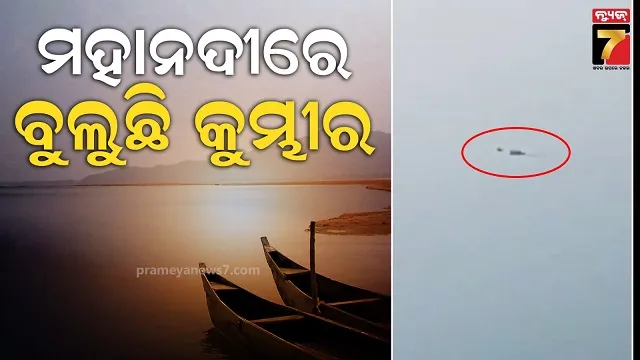 all-of-dibyangs-fathers-sorrows-are-now-happy