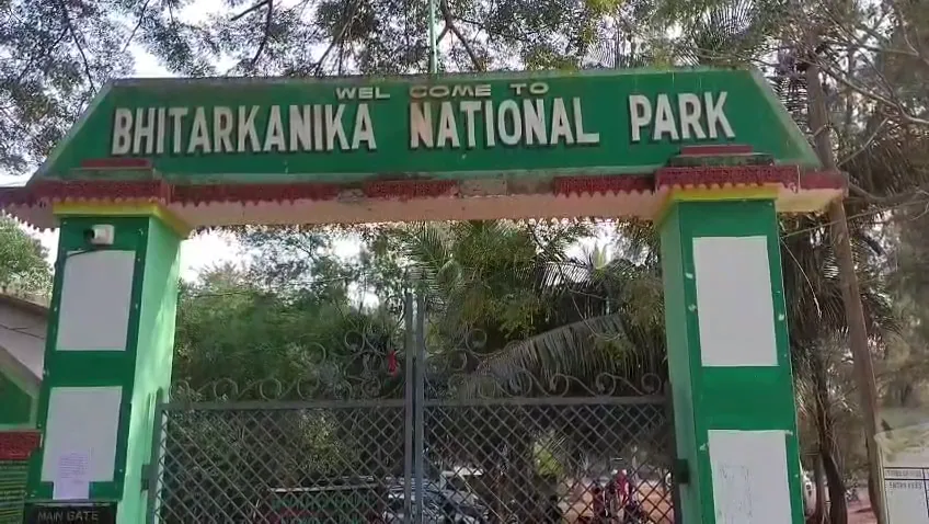 cooked-and-uncooked-dog-meet-ban-in-nagaland