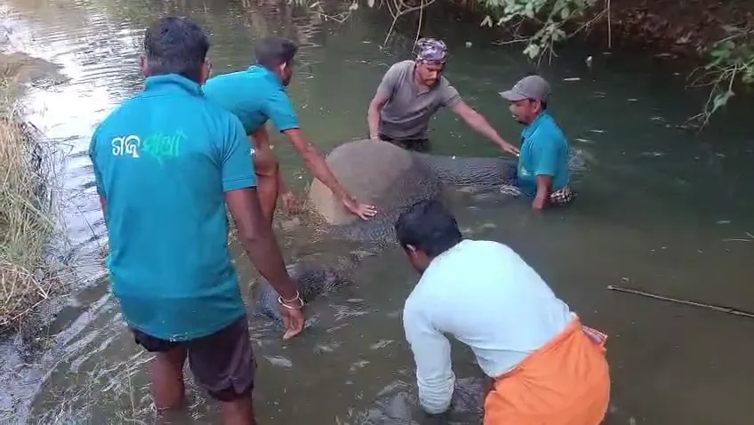 jharsuguda-and-keonjhar-records-maximum-temperature-of-43-degrees-by-230-pm