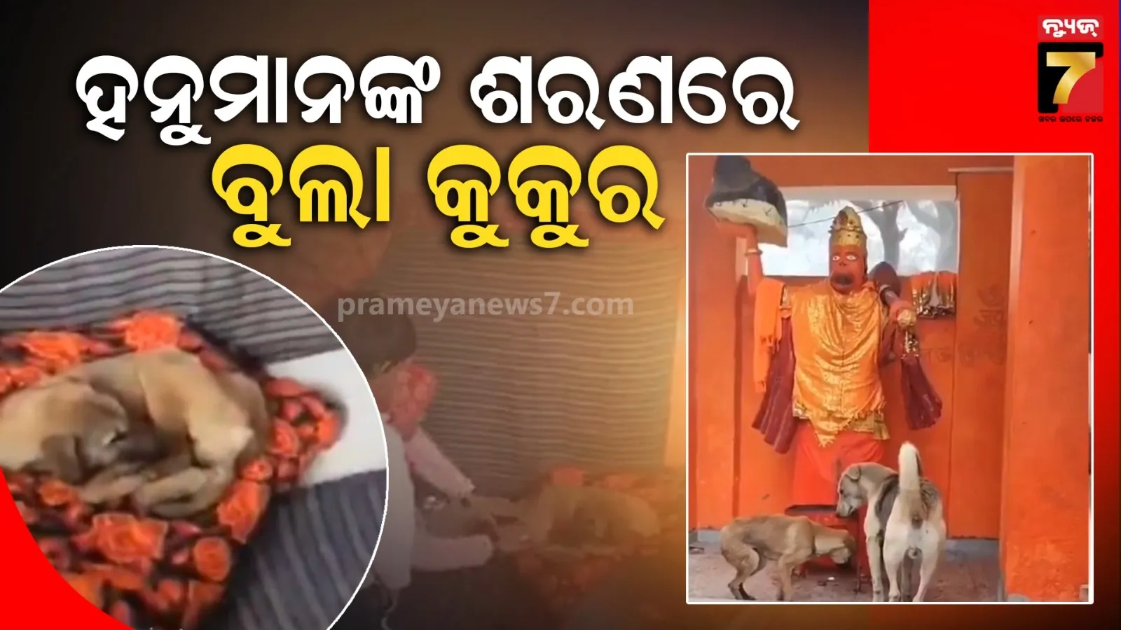 angyamala-bije-in-ratha