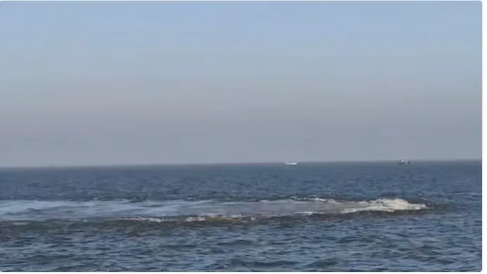 us-ban-face-app-over-security-concerns