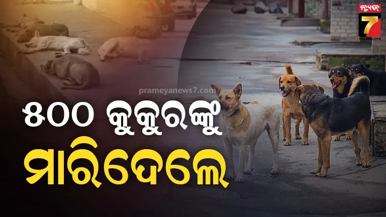 temporary-iron-bridge-floating-in-lamtaput-of-koraput-district