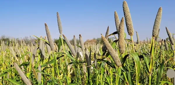 railway-service-affected-due-to-landslide-in-koraput