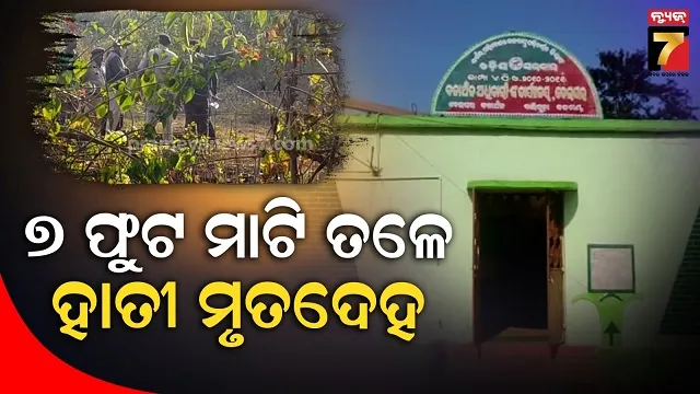 python-rescque-at-nischitkaoili