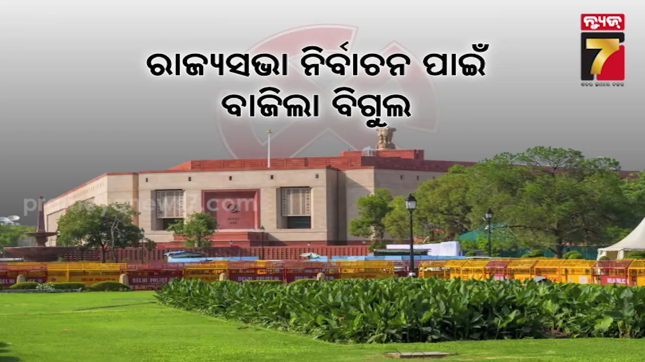 fear-of-tigers-in-ganjam-border-dfo-appeals-to-be-alert