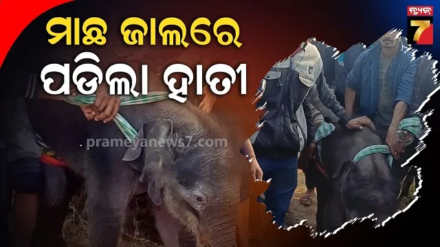 bihar-school-closed-summer-vacation-increased-due-to-hot-weather