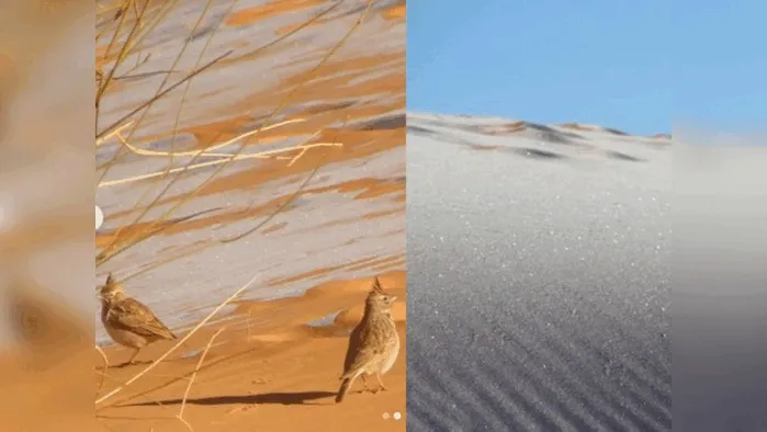 delhi-violence-death-toll-rises-to-27