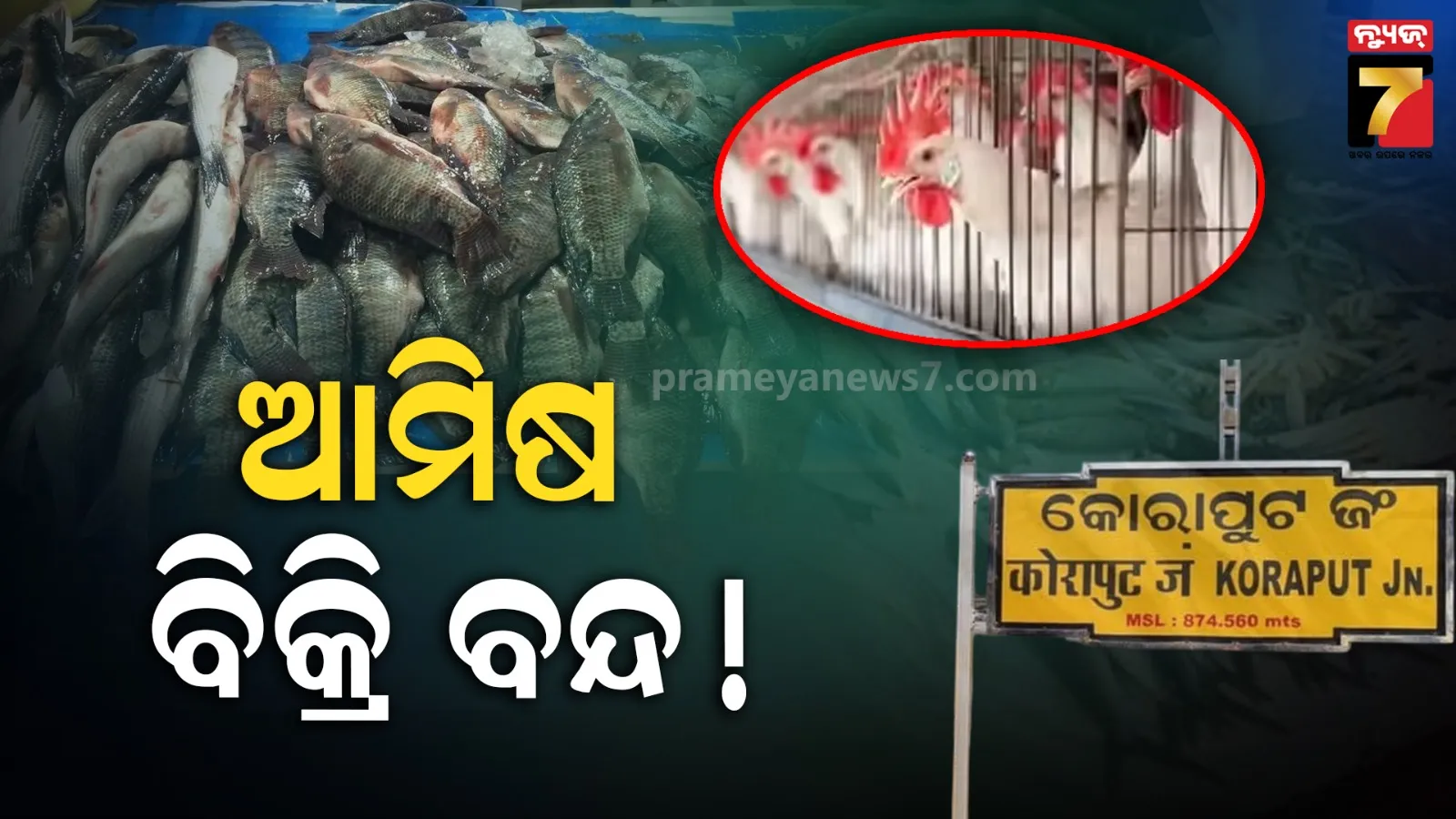 12-hundred-people-reach-state-from-uk-said-telengana-health-official