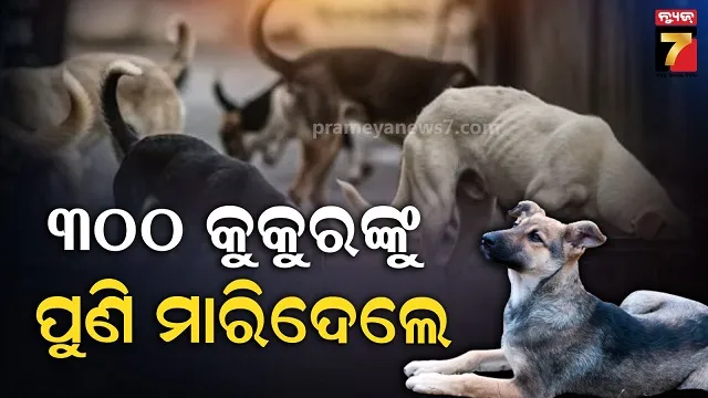 telengana dog row