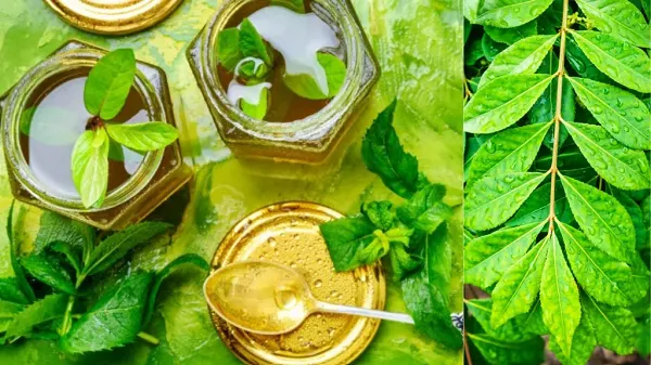 cm-baghel-got-important-responsibility-for-up-elections-many-mlas-gathered-in-delhi