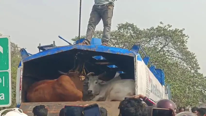 man-finds-forgotten-reliance-shares-bought-37-years-ago-for-30