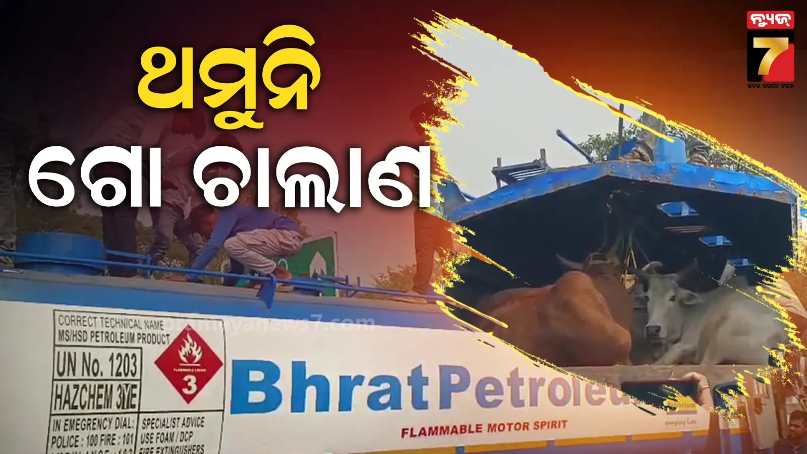 ପୋଲିସ ଡାଳେ ଡାଳେ, ମାଫିଆ ପତରେ ପତରେ...