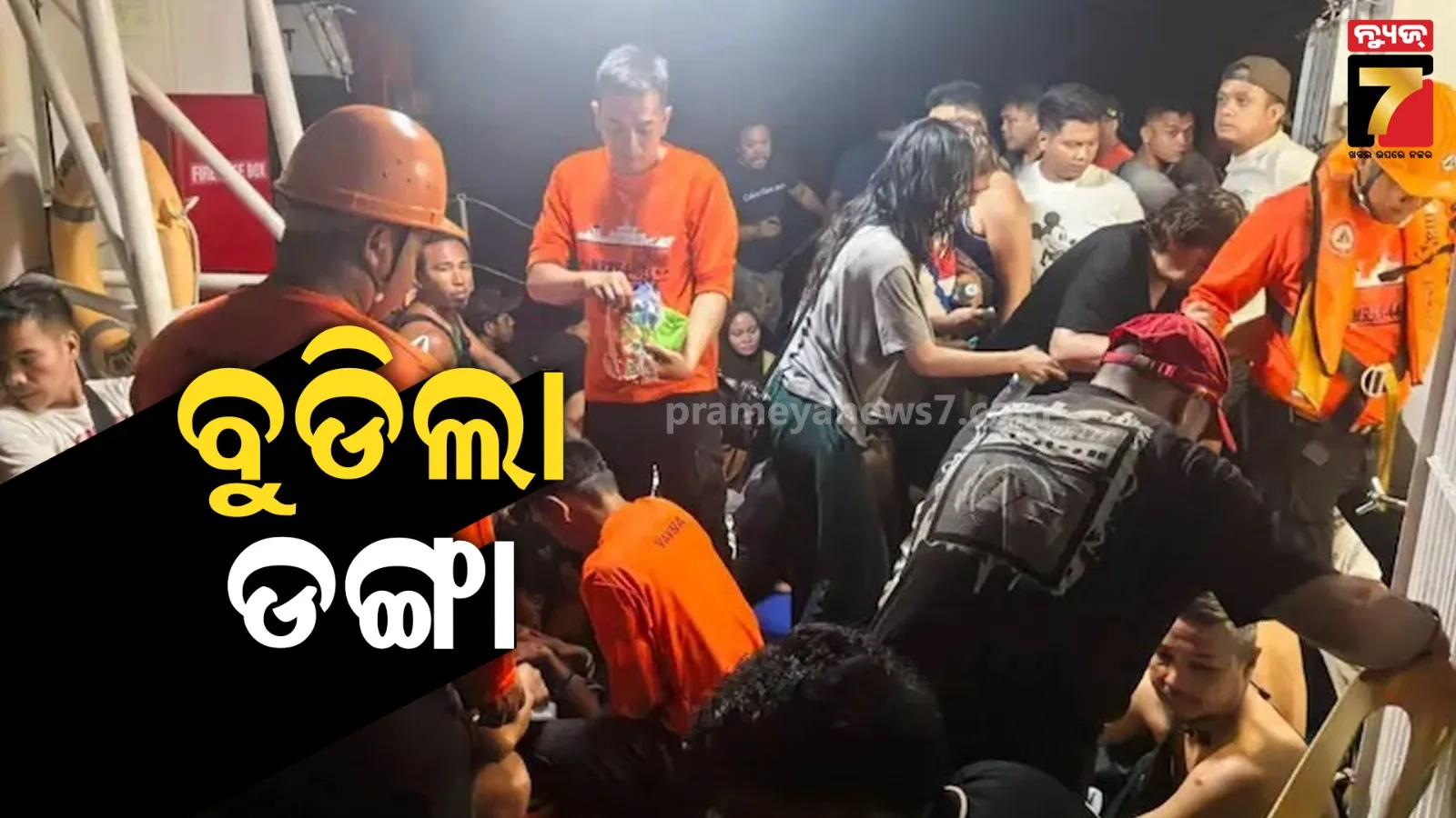 horse-found-alive-under-rubble-after-21days