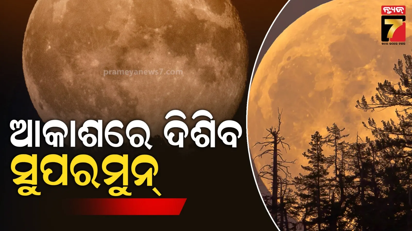 covid-19-in-india-guidelines-for-air-passengers-at-the-airports