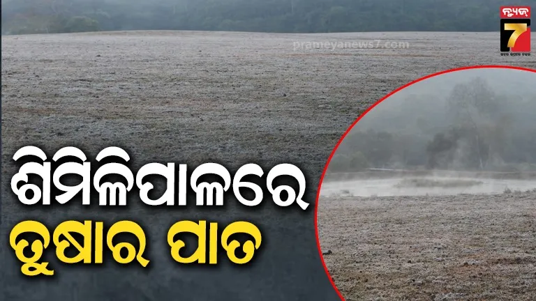 on-the-last-day-of-the-13th-international-sand-art-festival-in-konark