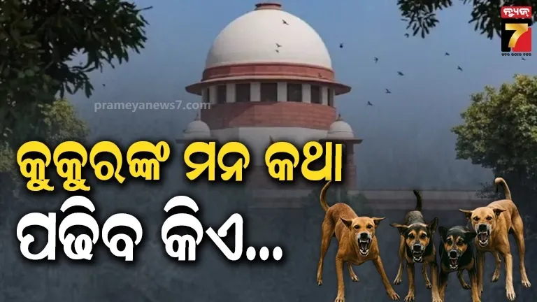 ସୁପ୍ରିମକୋର୍ଟରେ ବୁଲା କୁକୁର ମାମଲା : ଅଦାଲତ କହିଲେ- 'କିଏ ଜାଣିଛି କୁକୁର କେତେବେଳେ କାମୁଡିବ ?'