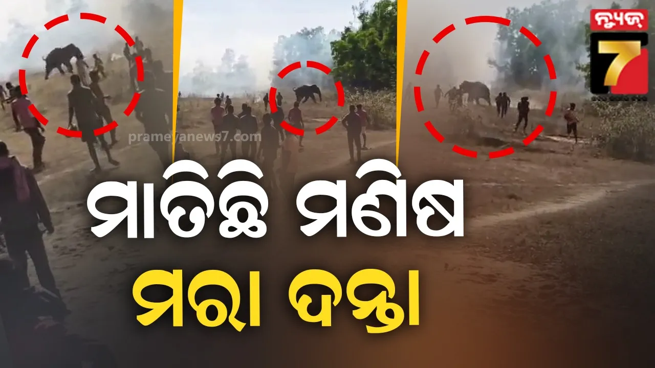 delhi-bjp-spokes-person-trolled-for-her-greeting-post-in-social-media