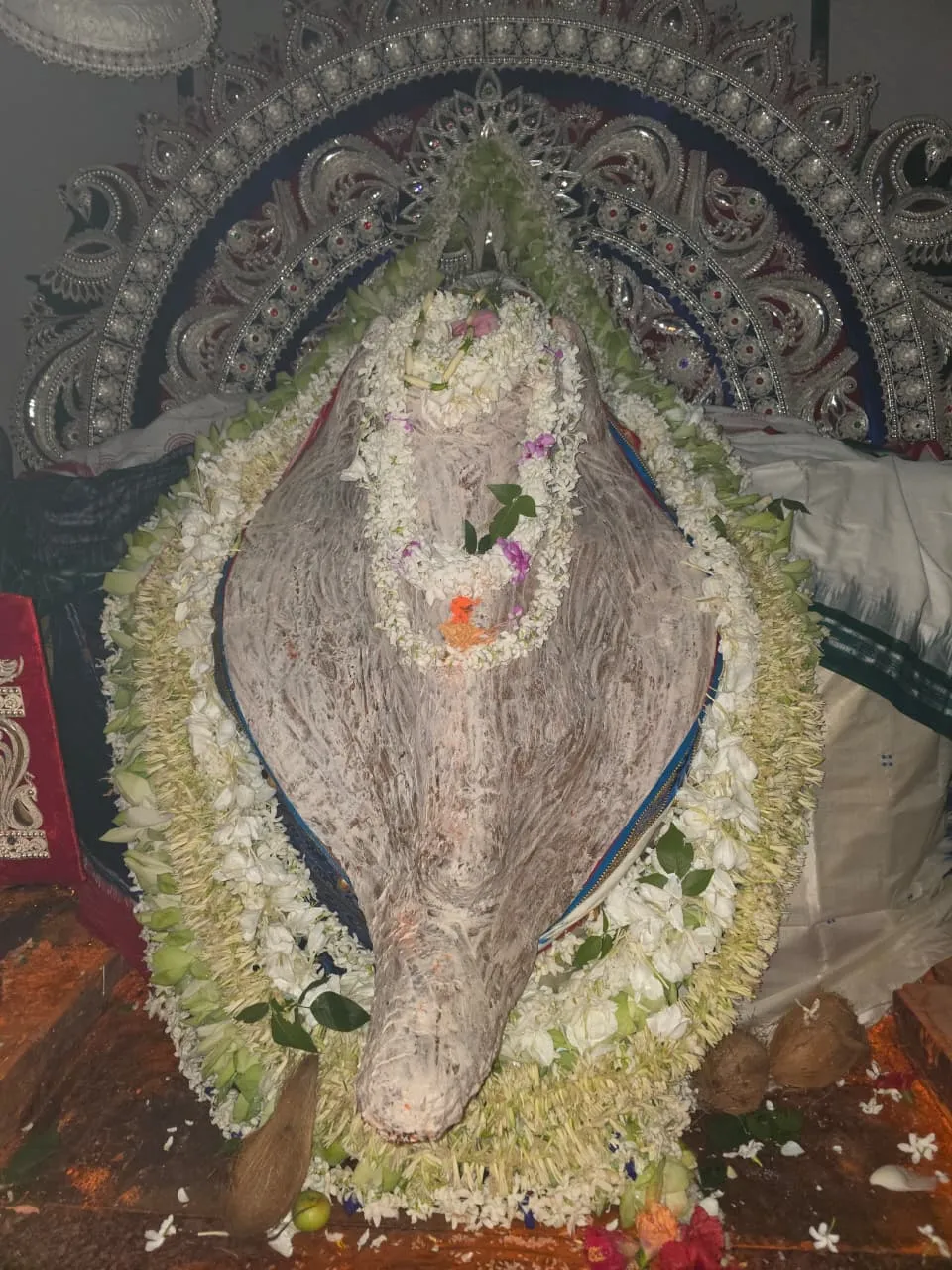 ପବିତ୍ର ମହାଳୟାରେ ଧବଳମୁଖୀ ବେଶରେ ମା’ ସମଲେଶ୍ୱରୀ, ଦର୍ଶନ ପାଇଁ ଭକ୍ତଙ୍କ ଭିଡ଼