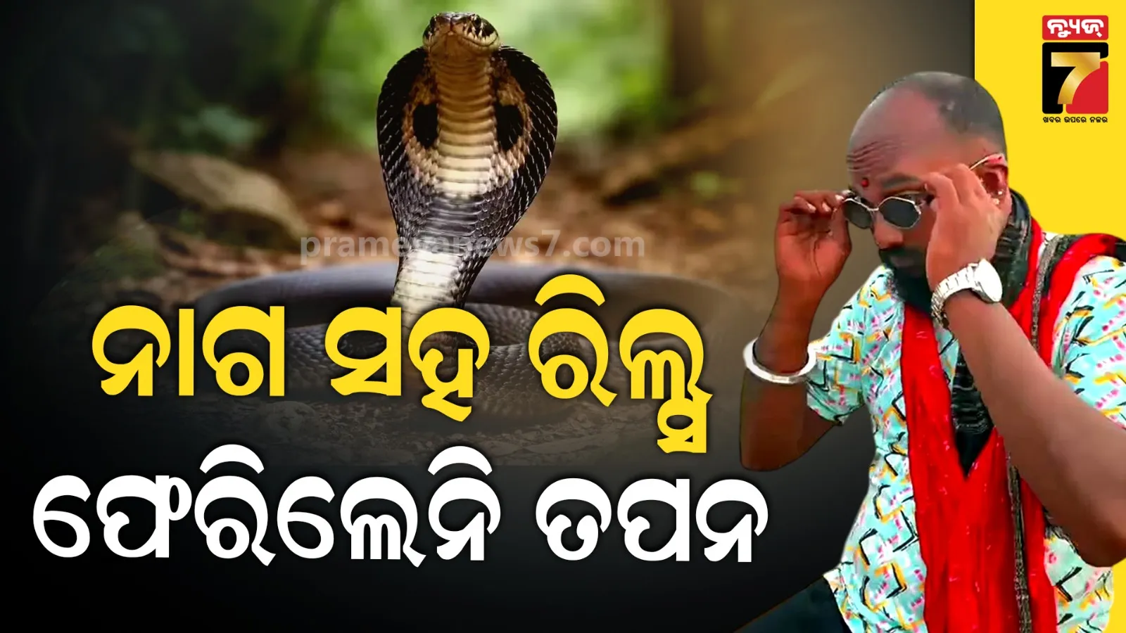 ସାପ ଧରିବାରେ ଥିଲେ ମାହିର, ଶେଷରେ ନାଗ ସାପ କାମୁଡ଼ାରେ ଚାଲିଗଲା ଜୀବନ