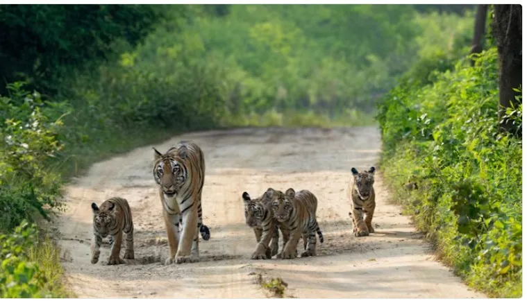 WWF’s Living Planet Report 2026
