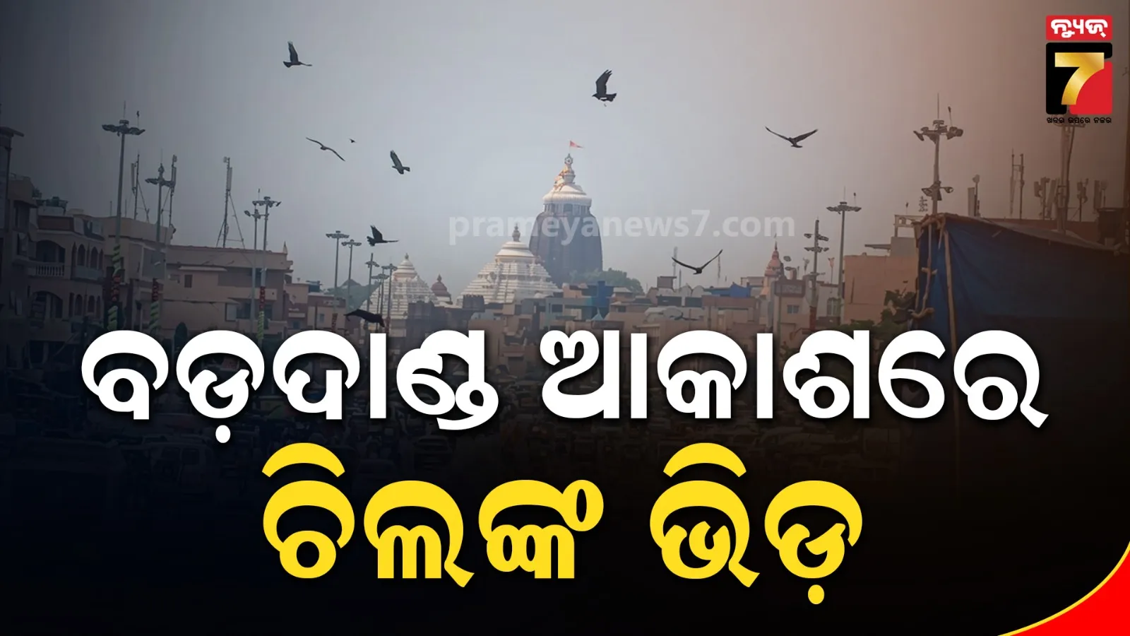 ଶ୍ରୀକ୍ଷେତ୍ର ଆକାଶରେ ଏତେ ଚିଲ କାହିଁକି ? ଅଶୁଭ ସଙ୍କେତକୁ ନେଇ ଚର୍ଚ୍ଚା !