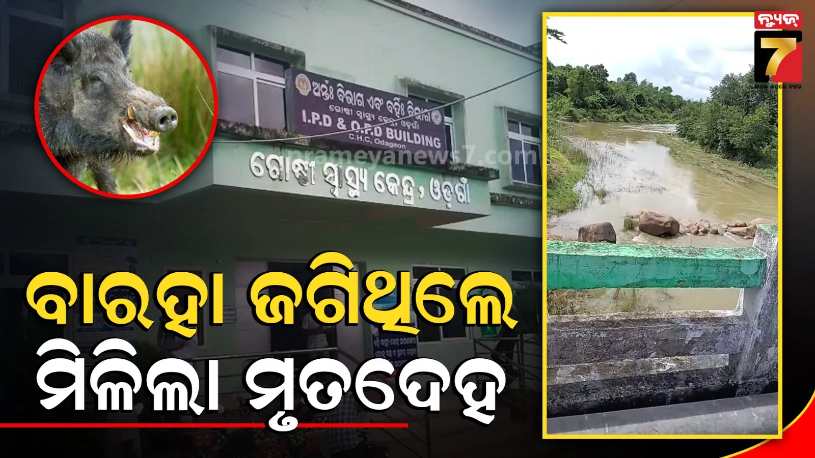 ବାରହା ଦାଉରୁ ଫସଲ ବଞ୍ଚାଇବାକୁ ଯାଇଥିଲେ, କୁସୁମୀ ନଦୀରୁ ଉଦ୍ଧାର ହେଲା ଦୁଇ ମୃତଦେହ