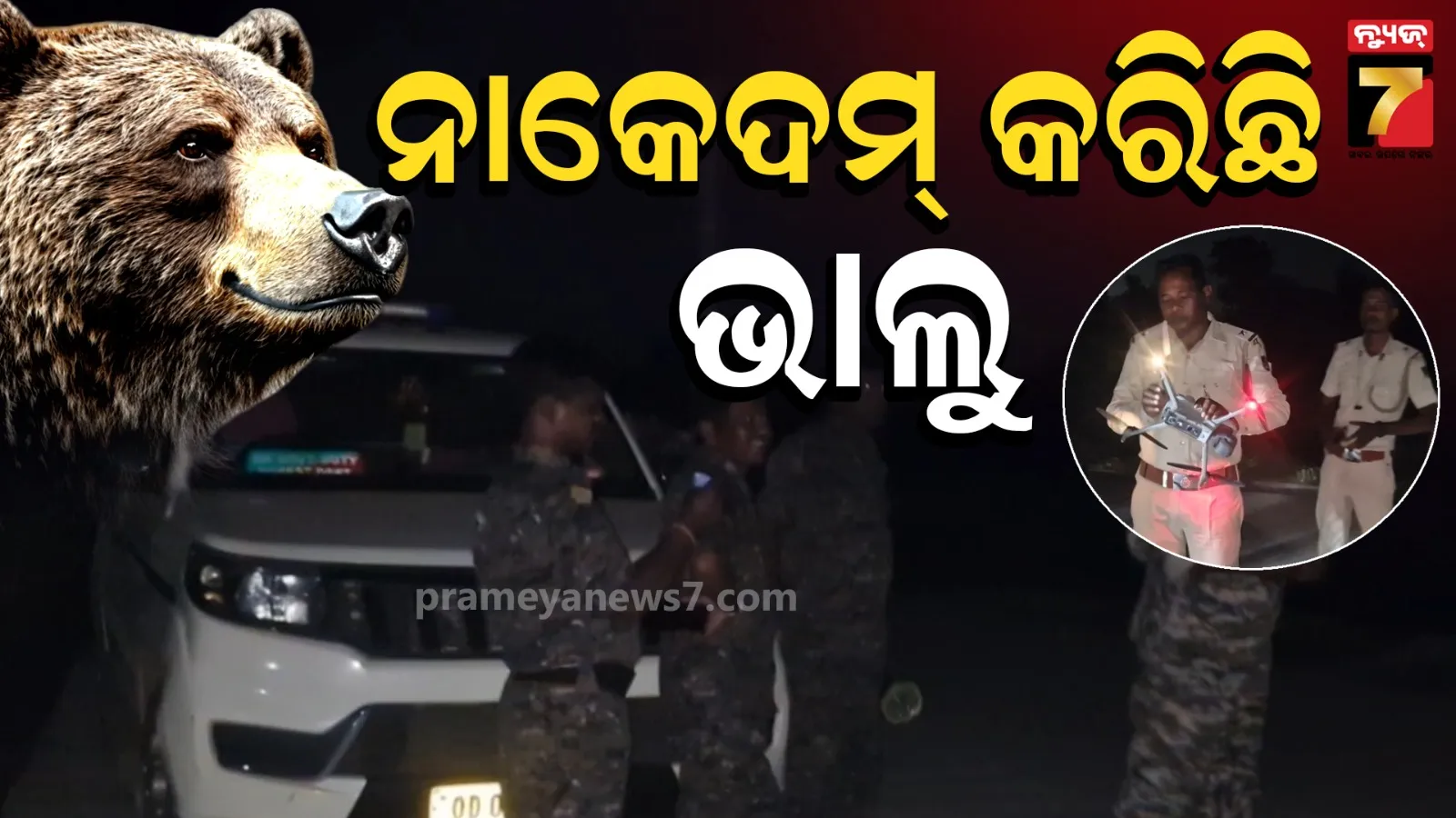କଣ୍ଟାବାଞ୍ଜିରେ ଭାଲୁ ଆତଙ୍କ : ରାତି ହେଲେ ଘରୁ ବାହାରୁ ନାହାଁନ୍ତି ଲୋକେ