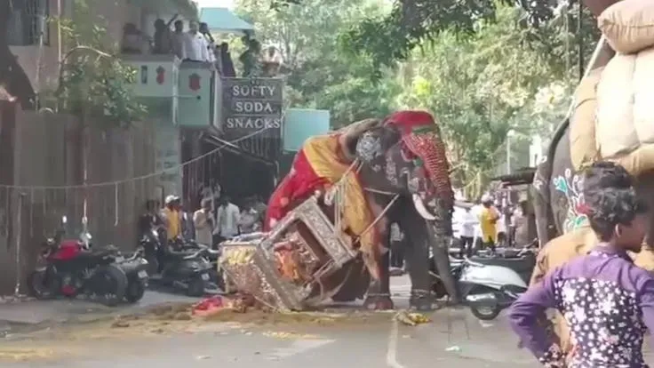ଦଶହରା ଶୋଭାଯାତ୍ରା ସମୟରେ ହିଂସ୍ର ହୋଇପଡ଼ିଲା ହାତୀ, ଖସିପଡ଼ିଲା ୬୫୦ କିଲୋଗ୍ରାମ ଓଜନର ରୁପା ହାଉଦା