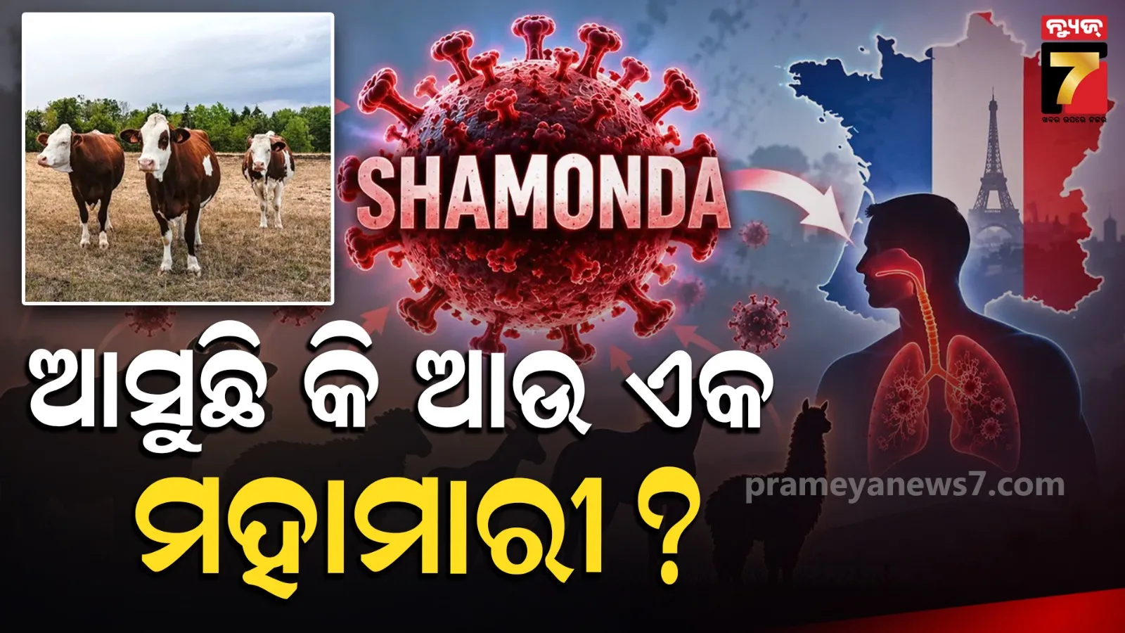 SHAMONDA