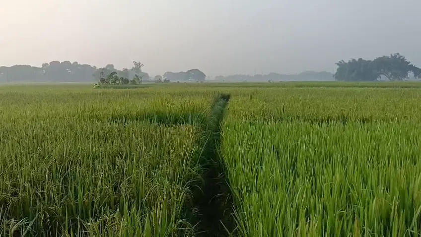 ବାତ୍ୟା ନାଁ ଶୁଣି ଛାନିଆ ହେଲେଣି ଲୋକେ, ଗୁଜୁରାଣ ମେଣ୍ଟାଇବା ଚିନ୍ତାରେ ମତ୍ସ୍ୟଜୀବୀ