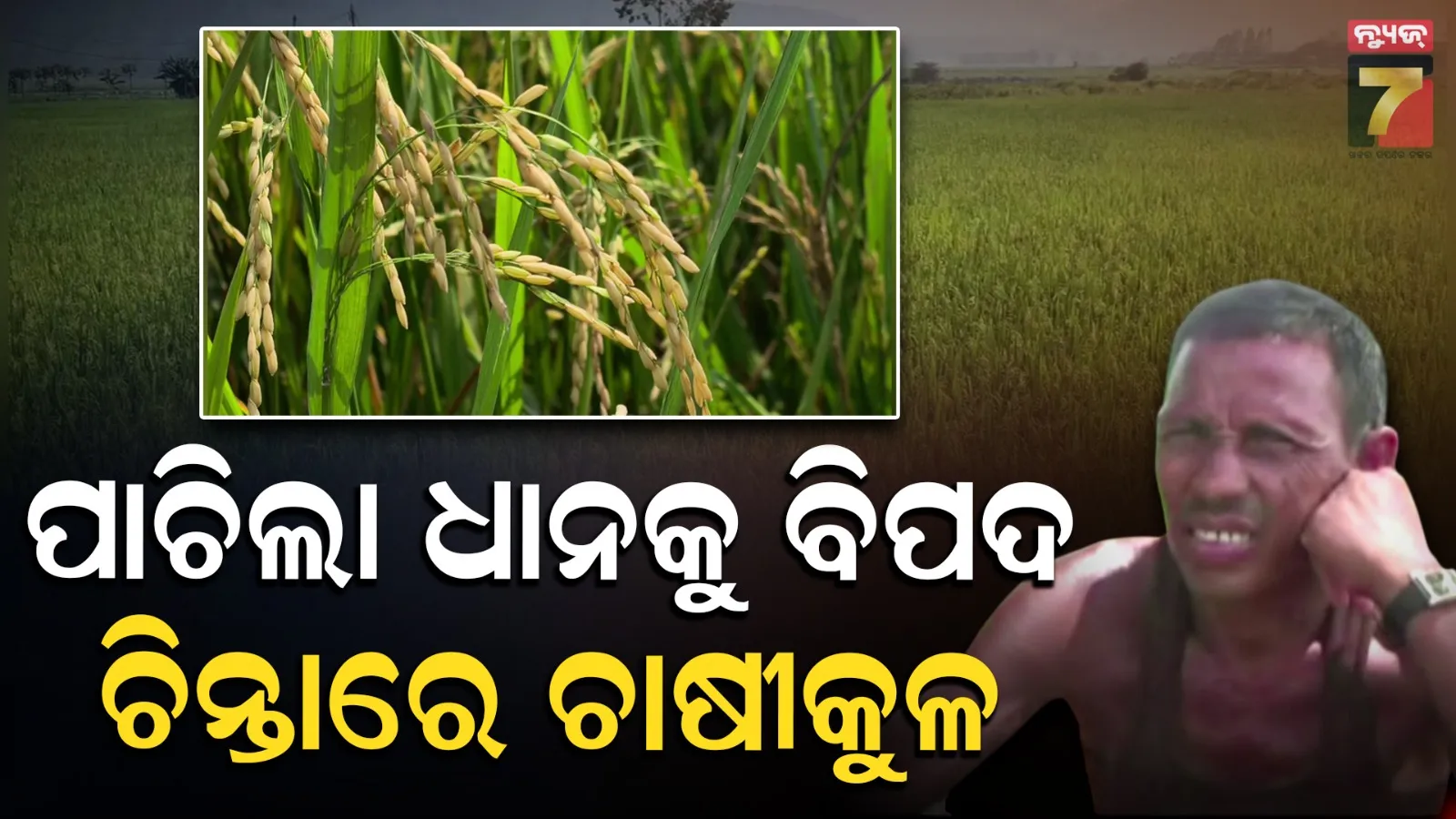 Rayagada News