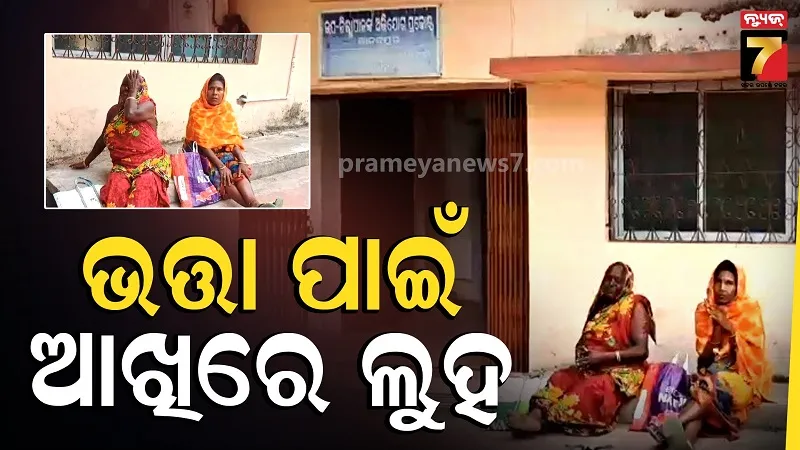 No Pension for 4 Months: Two Elderly Women Approach Sub-Collector in Anandapur