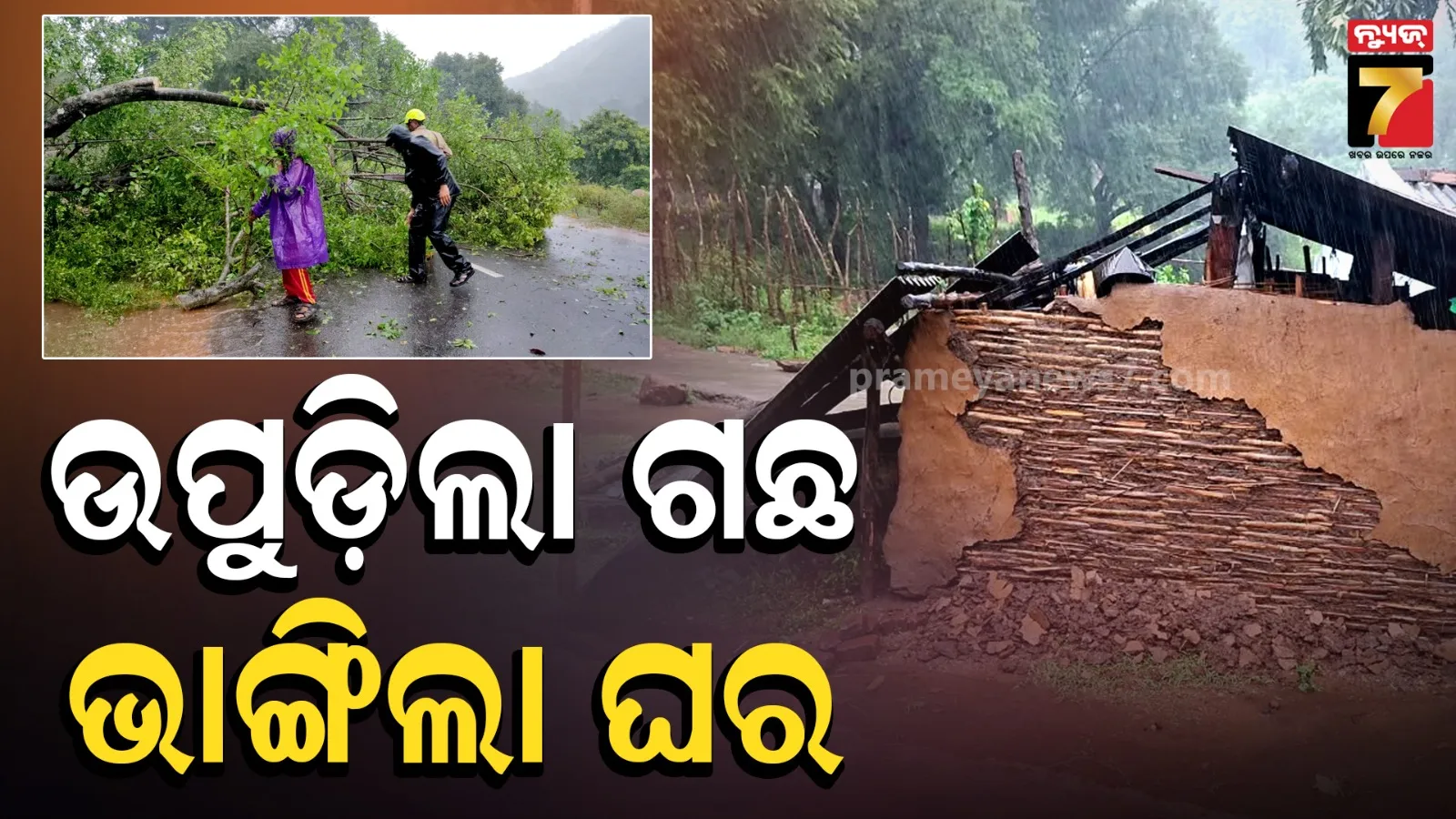 ଓଡ଼ିଶାରେ ଆରମ୍ଭ ହୋଇଗଲା ପ୍ରଳୟ : ପଟାଙ୍ଗୀରେ ବର୍ଷା-ପବନରେ ଭାଙ୍ଗିଲା ଗଛ, ୧୩୨ ଜଣଙ୍କୁ ସ୍ଥାନାନ୍ତର