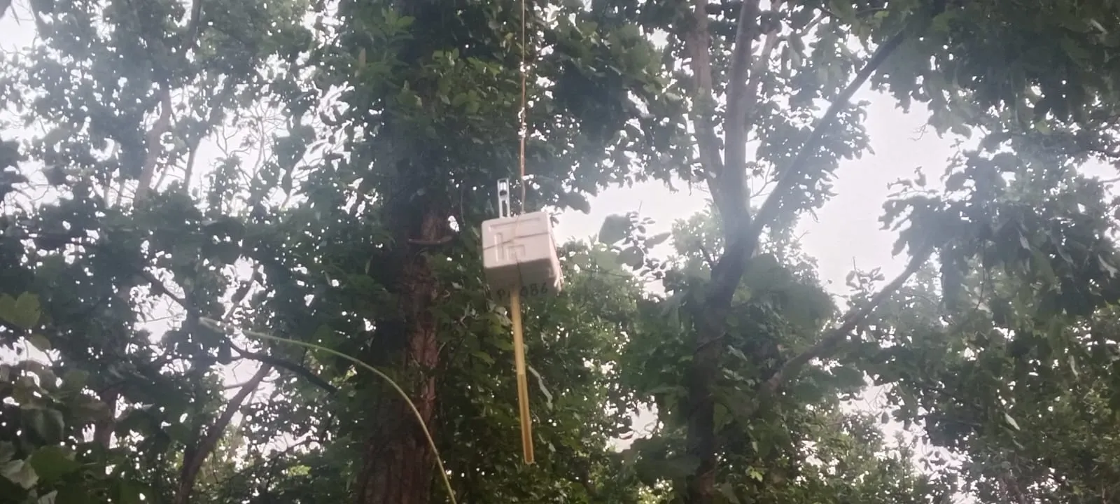 Unidentified object Nilagiri: ଗଛରେ ଝୁଲୁଥିଲା ‘P0086’ ଲେଖା ଅଜଣା ବସ୍ତୁ, ଜାଣନ୍ତୁ କ’ଣ କହିଲା ଇସ୍ରୋ