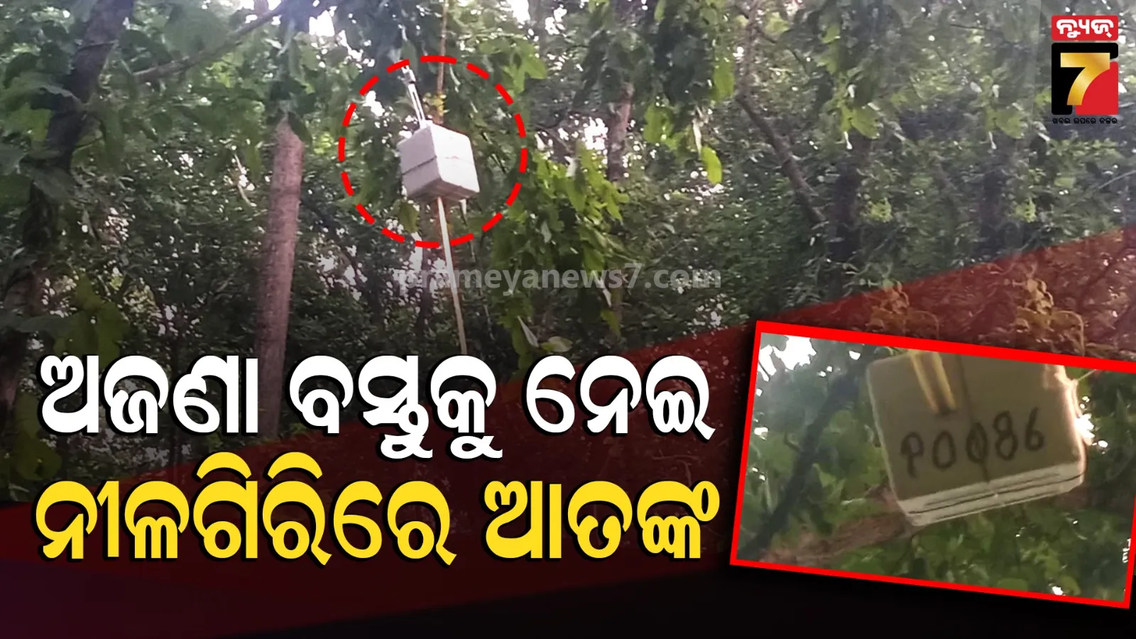 Nilagiri News