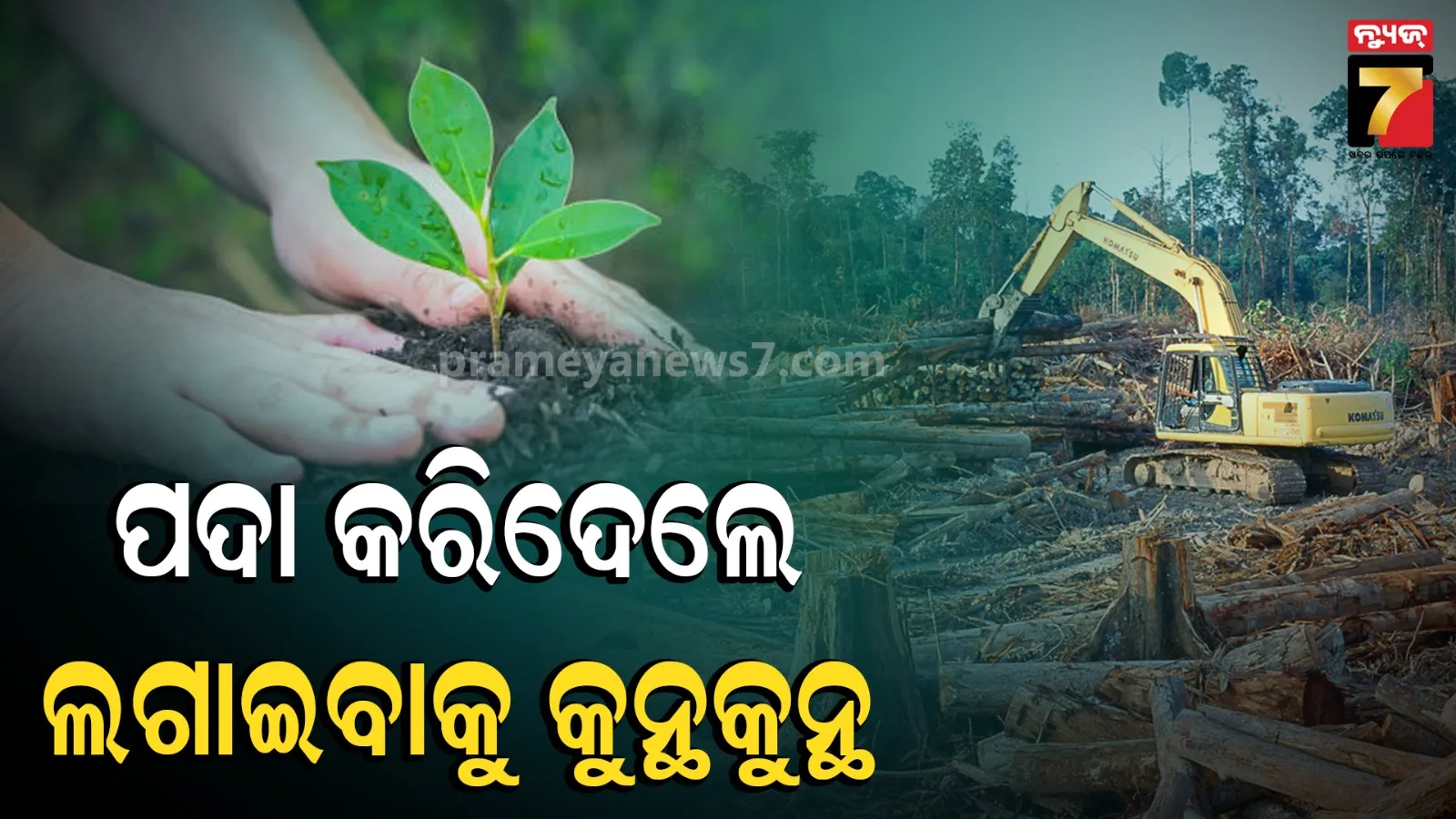 deforestation