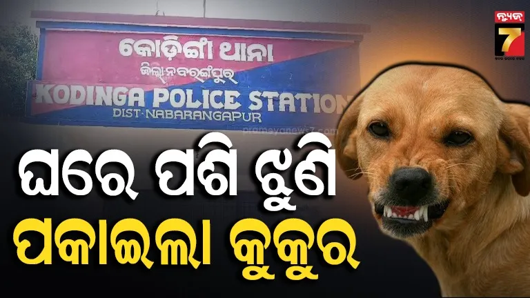 ଘରେ ପଶି ଝୁଣି ପକାଇଲା କୁକୁର, ଦେଢ଼ ବର୍ଷର ଶିଶୁ ଗୁରୁତର