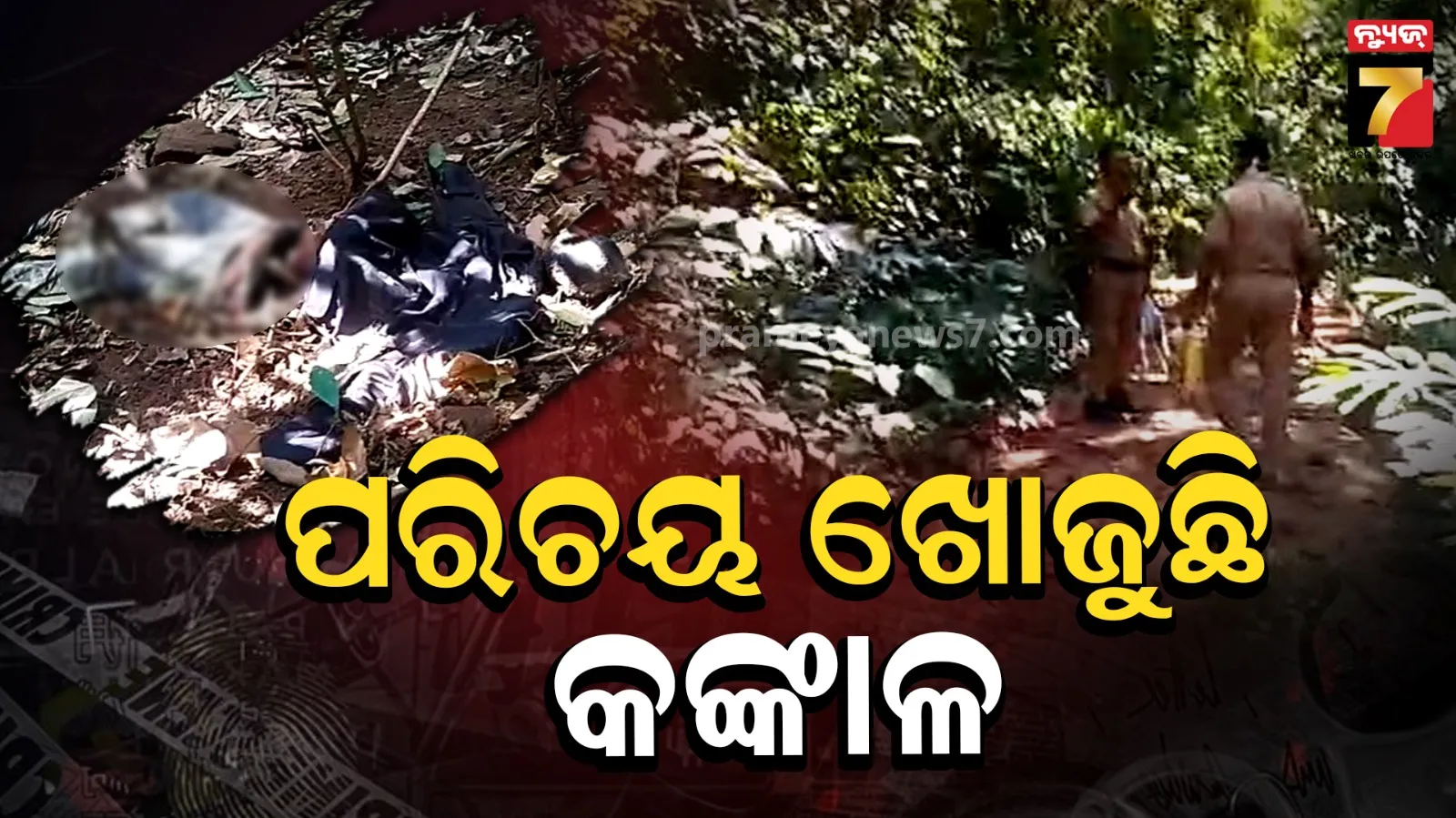 Skeleton mystery : ସନ୍ଦେହ ବଢ଼ାଉଛି କଳା କାର ; ରାତିରେ ଜଙ୍ଗଲ ଭିତରକୁ ଆସିଥିଲା, ସକାଳୁ ମିଳିଲା ନର କଙ୍କାଳ
