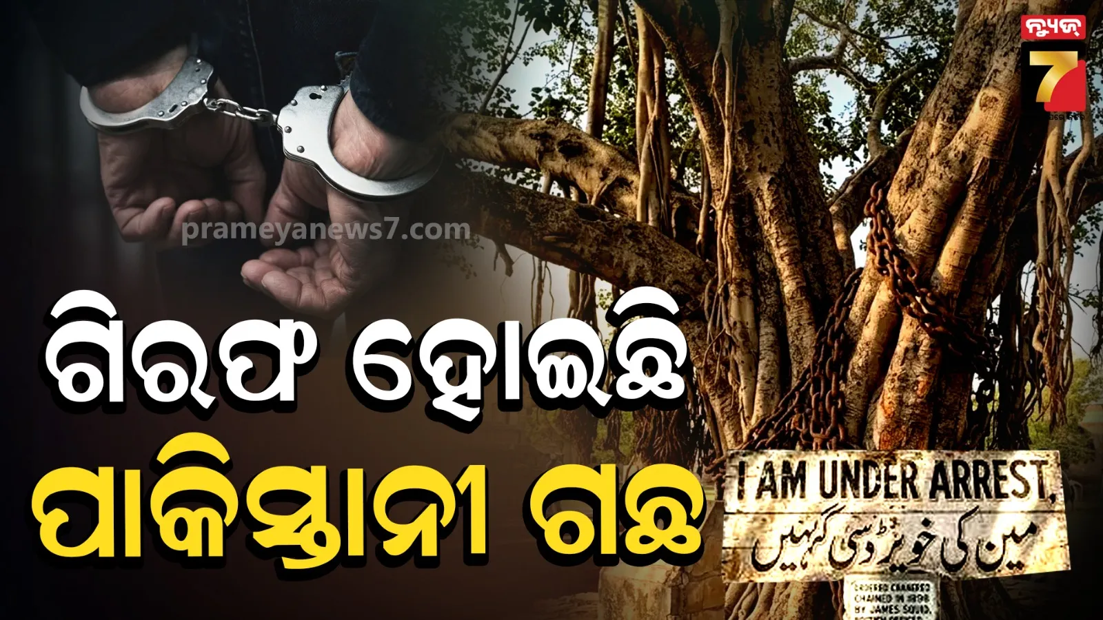 Banyan Tree : ୧୨୦ ବର୍ଷ ଧରି ଚେନ୍‌ରେ ବନ୍ଧା ହୋଇଛି ବର ଗଛ, ବ୍ରିଟିଶ ଅଧିକାରୀ ଦେଇଥିଲେ ନିର୍ଦ୍ଦେଶ