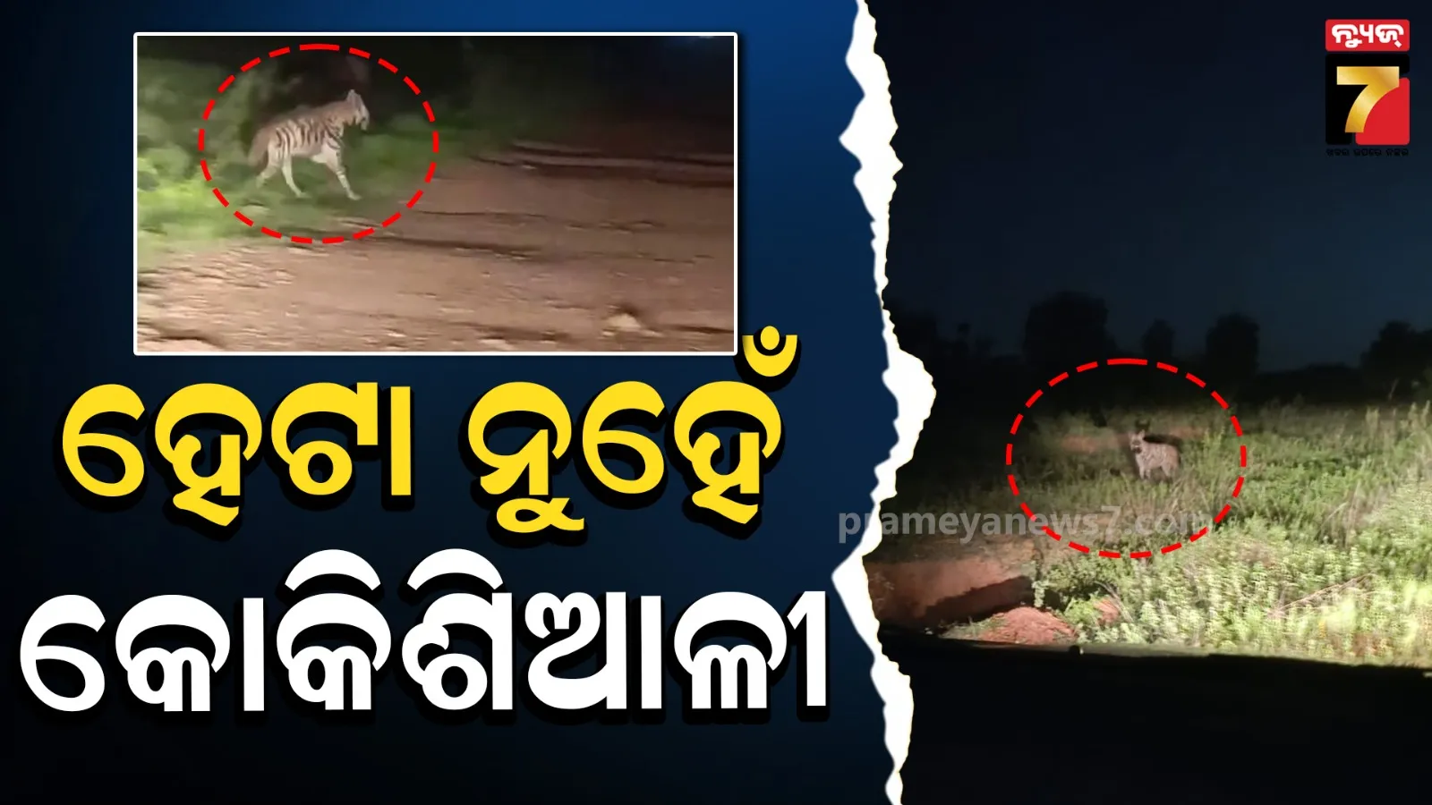 Bhubaneswar News