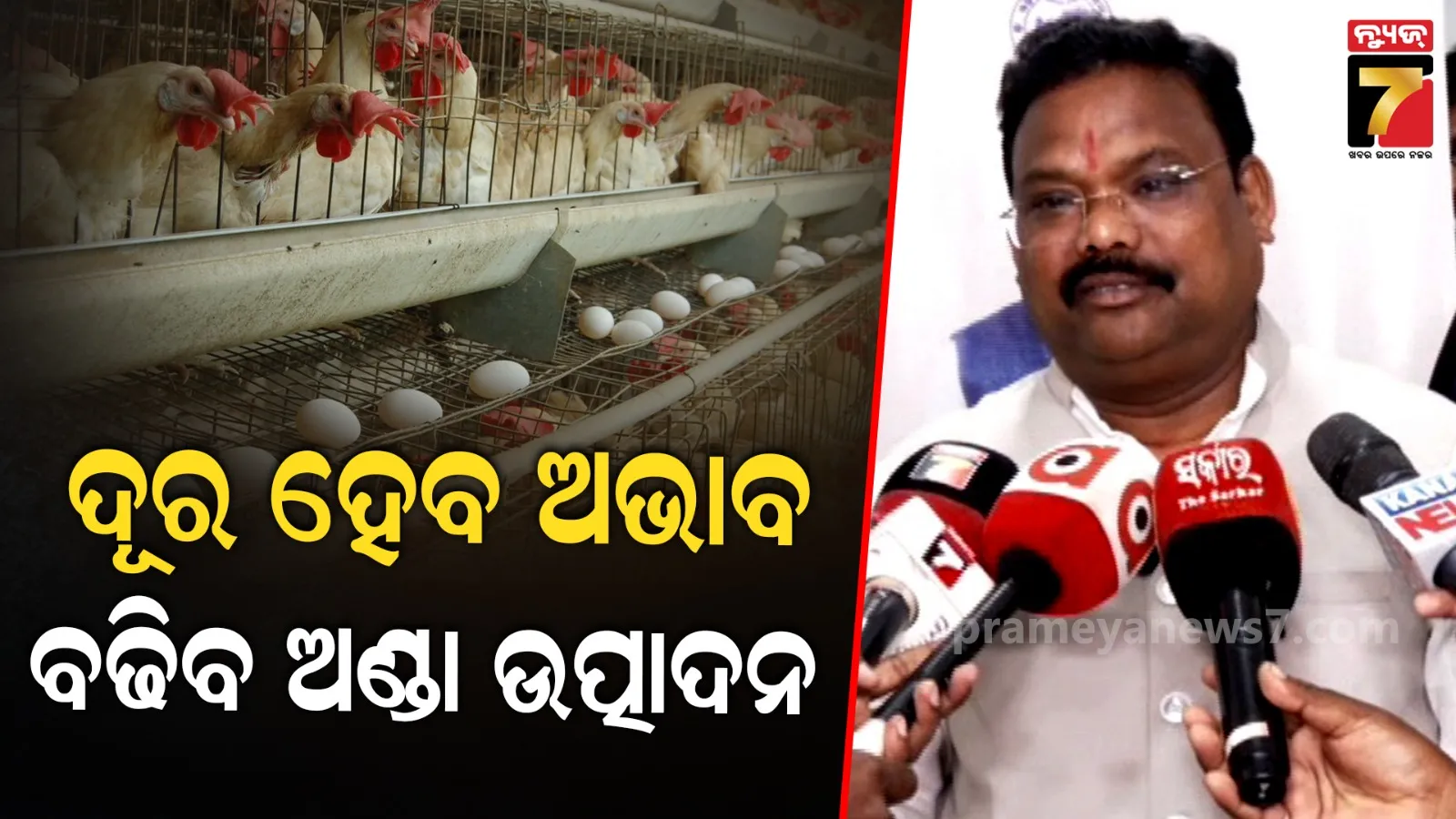 ନୂଆ ନୀତି ଆଣିବେ ସରକାର, ବାର୍ଷିକ ୫୦୦ କୋଟି ଅଣ୍ଡା ଉତ୍ପାଦନର ଲକ୍ଷ୍ୟ