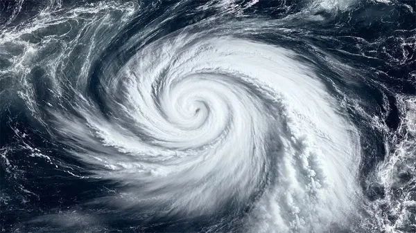 tejpatta-controls-blood-sugar-level