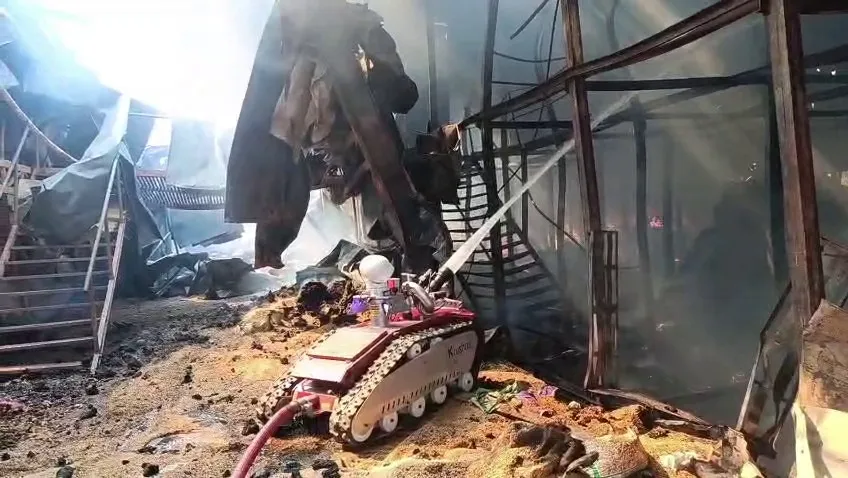 domestic-fight-causes-murder-and-suicide