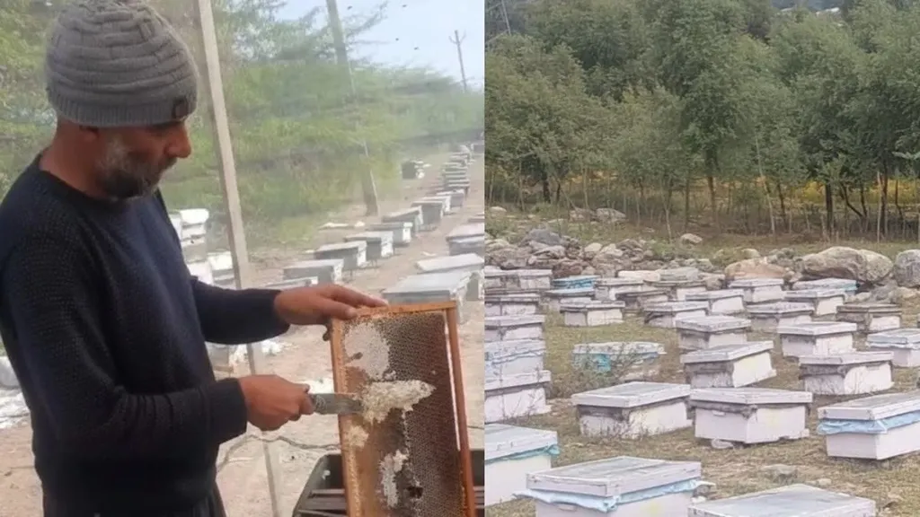 road-durghatana-in-anugul-2